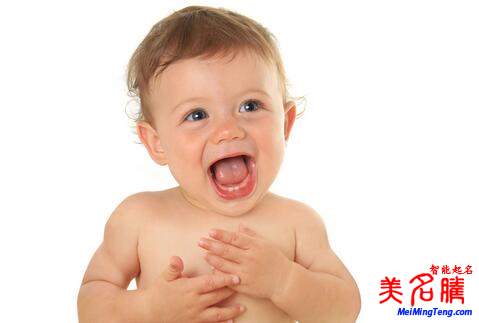 楊姓起名，楊姓屬狗男寶寶起名大全