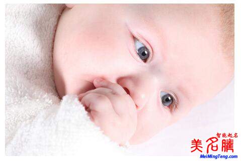 楊姓起名，楊姓屬狗男寶寶起名大全