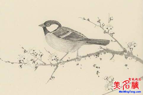 2018梅姓寶寶最詩意、最不凡的名字大全